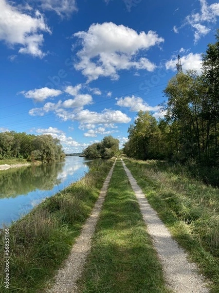 Obraz river in the forest