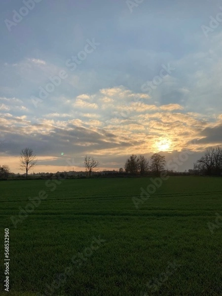 Obraz sunset over the field