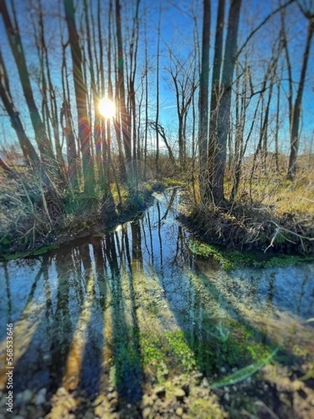 Obraz autumn in the park