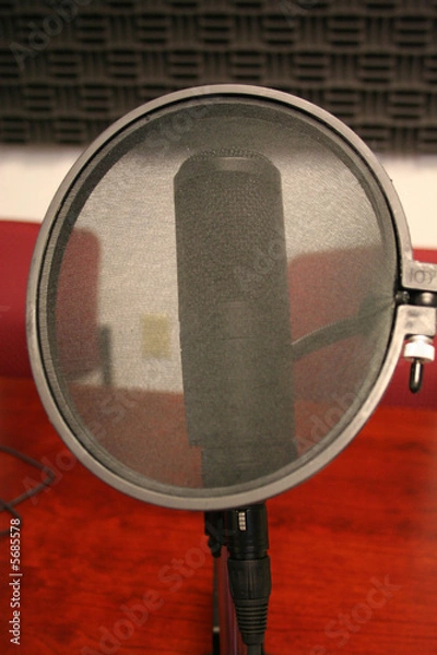Obraz Microphone and wind screen