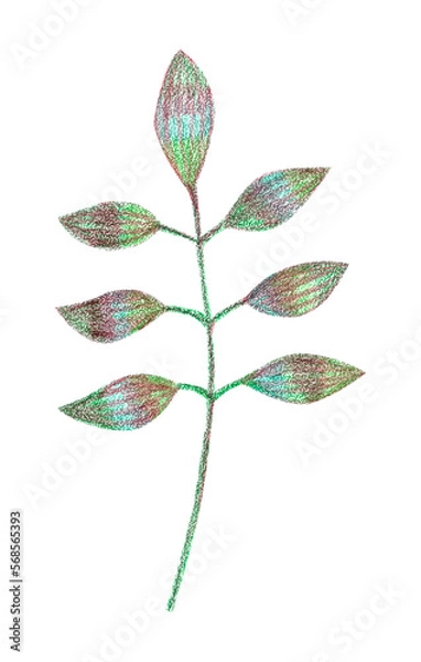 Obraz Illustration of plant with leaves hand drawn with colored pencils isolated on white background