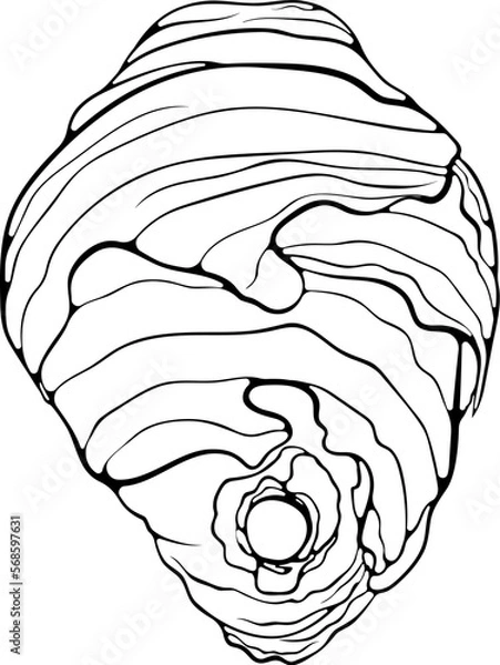 Fototapeta Hive of wild wasps. Vespiary residence flying insects close up. Vector illustrations in hand drawn sketch style isolated on white. Illustration coloring book page, logo.
