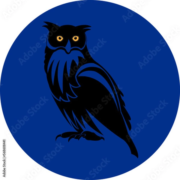 Obraz owl on a blue background