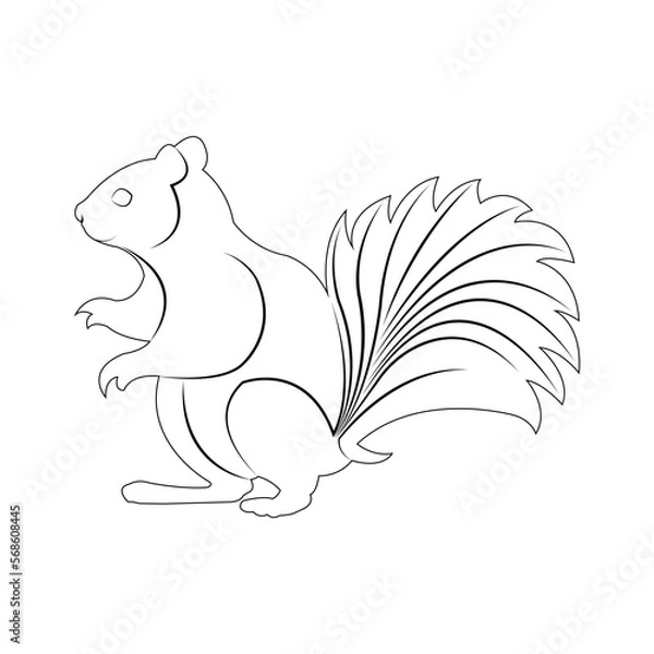 Obraz squirrel icon for logo design