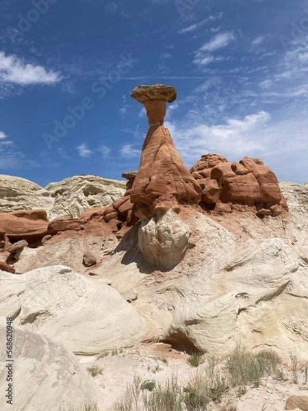 Obraz a mushroom like sandstone formation on the Toadstool Hoodoos trail in Utah