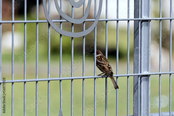 Fototapeta Kualalumpurimpressionen