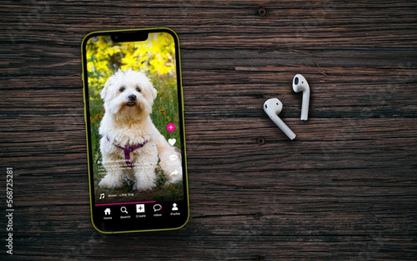Fototapeta Sample social media app interface on mobile phone on a wooden table with headphones - concept of modern networking and sharing of short form video content. Little dog on social media account 