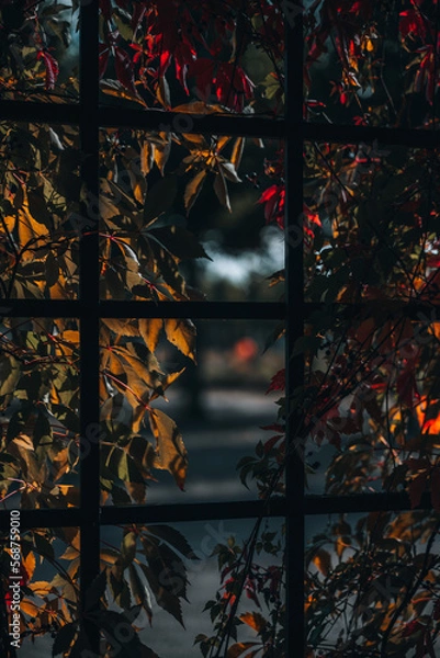 Obraz Aus dem Fenster 