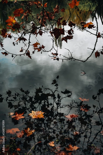 Obraz Gesiegeltes Wasser mit Blättern