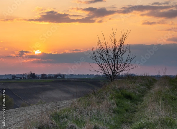 Obraz Wschód słońca na Ponidziu
