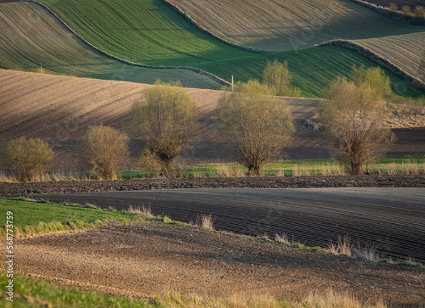 Obraz Ponidzie wiosną