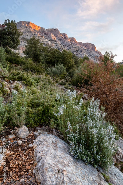 Obraz sainte victoire