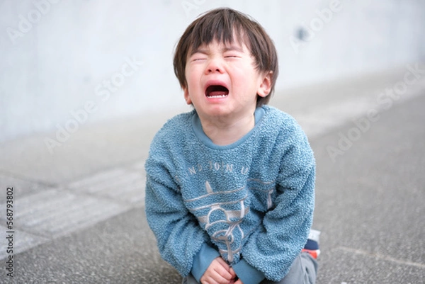 Obraz イヤイヤ期の子供