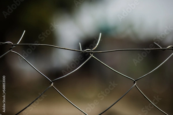 Obraz barbed wire fence