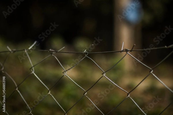 Obraz barbed wire fence