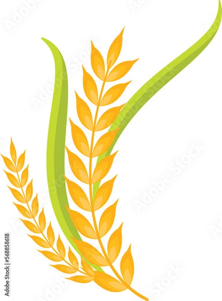 Obraz Wheat crop leaf