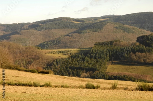 Fototapeta Nationalpark Eifel