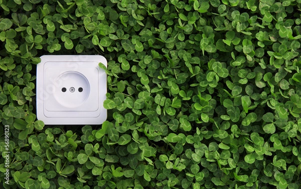 Obraz electric power receptacle on a green grass background