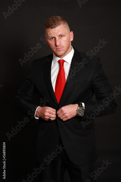 Obraz Young Businessman suit