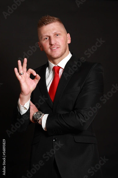 Obraz Young Businessman suit