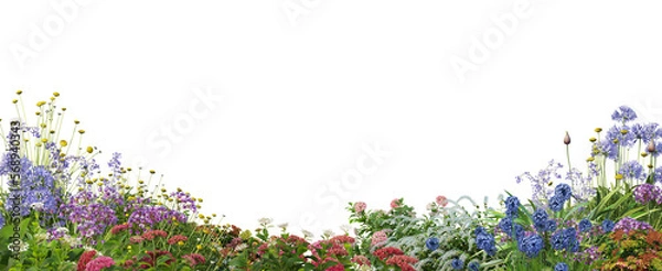 Fototapeta foreground flower gardens and meadows on a transparent background.
