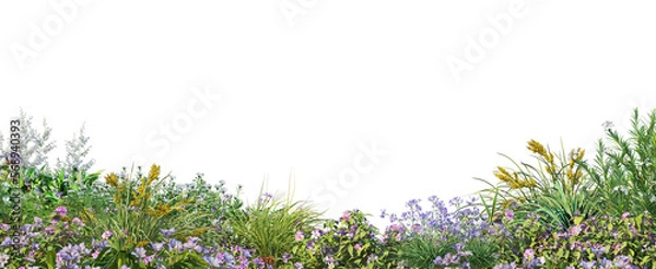Fototapeta foreground flower gardens and meadows on a transparent background.