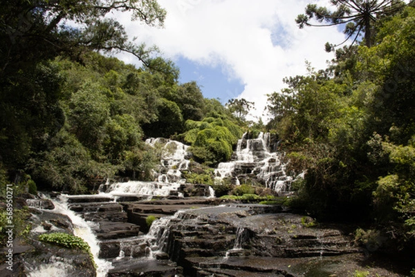 Fototapeta waterfall in the forest