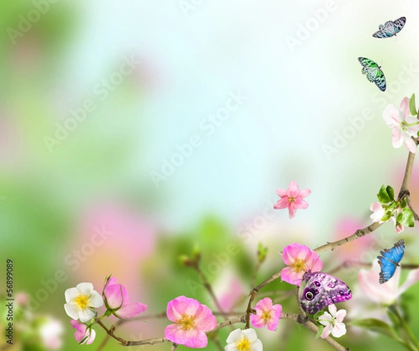 Obraz Background nature