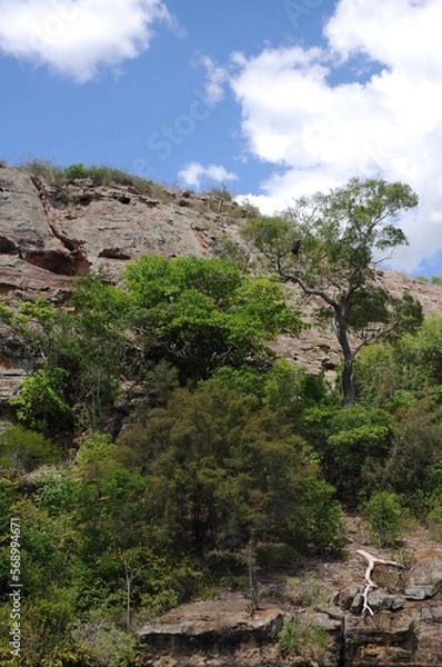 Obraz mountain river in the mountains