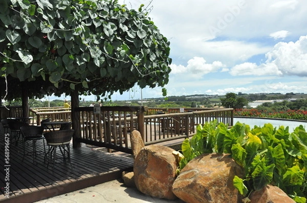 Obraz garden with palm trees