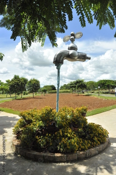 Obraz tree in the park