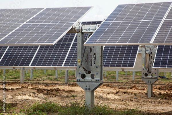 Fototapeta Modules over single axis tracker