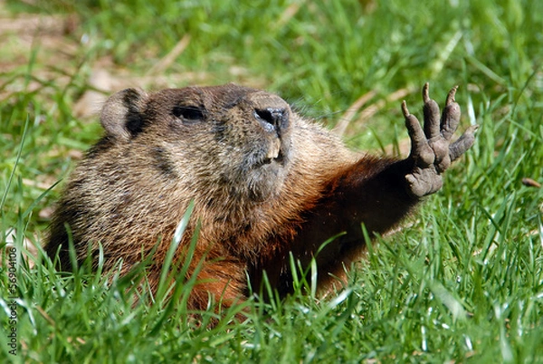Fototapeta Daj mi pięć programów Ziemia