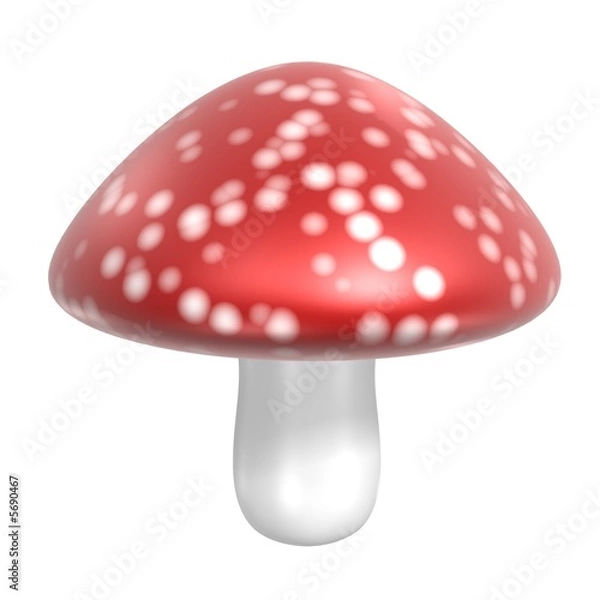 Fototapeta Mushroom