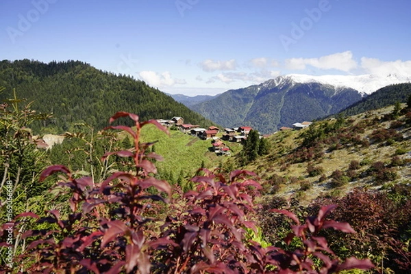 Obraz landscape with flowers