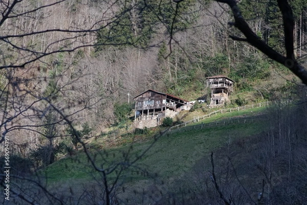 Obraz old house in the forest