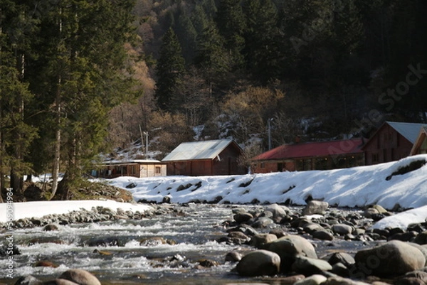 Obraz snow covered house