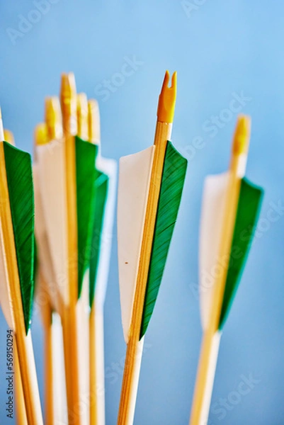 Fototapeta PFEIL UND BOGEN