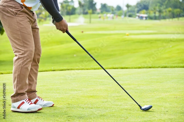 Obraz Tee shot address.