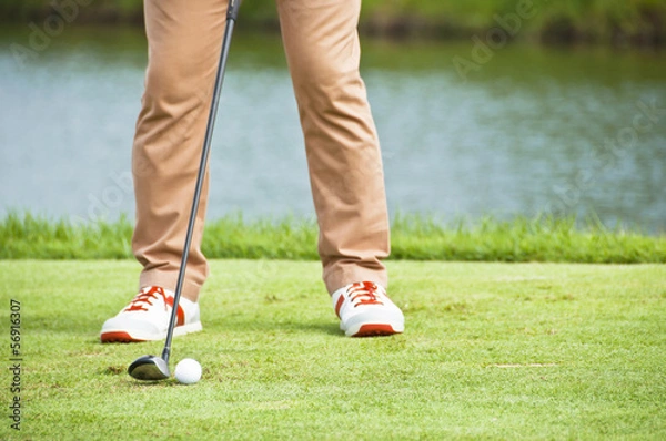 Obraz Tee shot address.