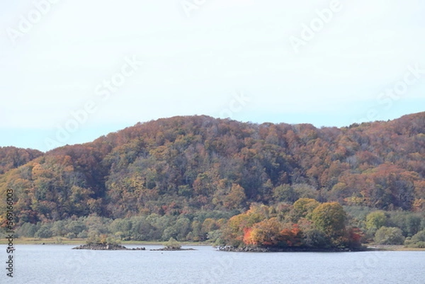 Obraz 青空の下で色ずく島の紅葉