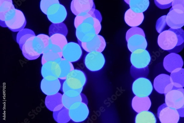 Fototapeta 冬の街路樹イルミネーション（玉ボケ）