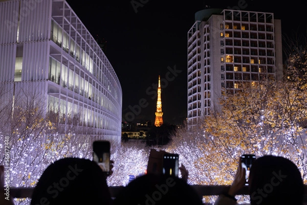 Obraz view cathedral