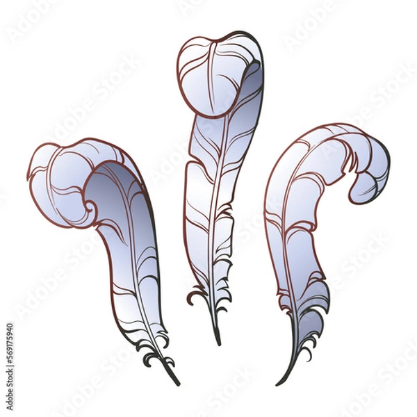 Obraz Heraldic stylised feathers. Used as a crew on helmets . Colored line drawing isolated on white background. EPS10 vector illustration.