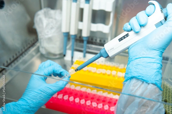 Fototapeta scientist working in laboratory
