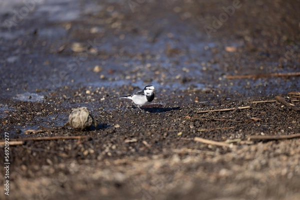 Obraz sand on the beach