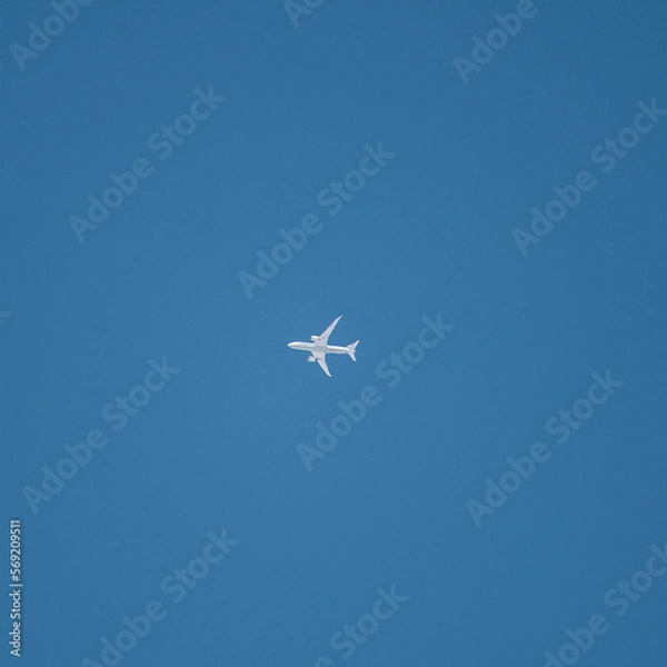 Obraz airplane in the sky