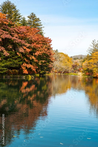 Obraz autumn in the park