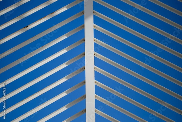 Obraz blue and white