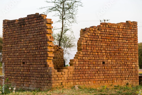 Obraz wall with tree